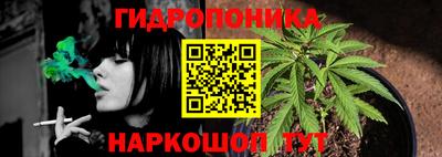 spice Будённовск