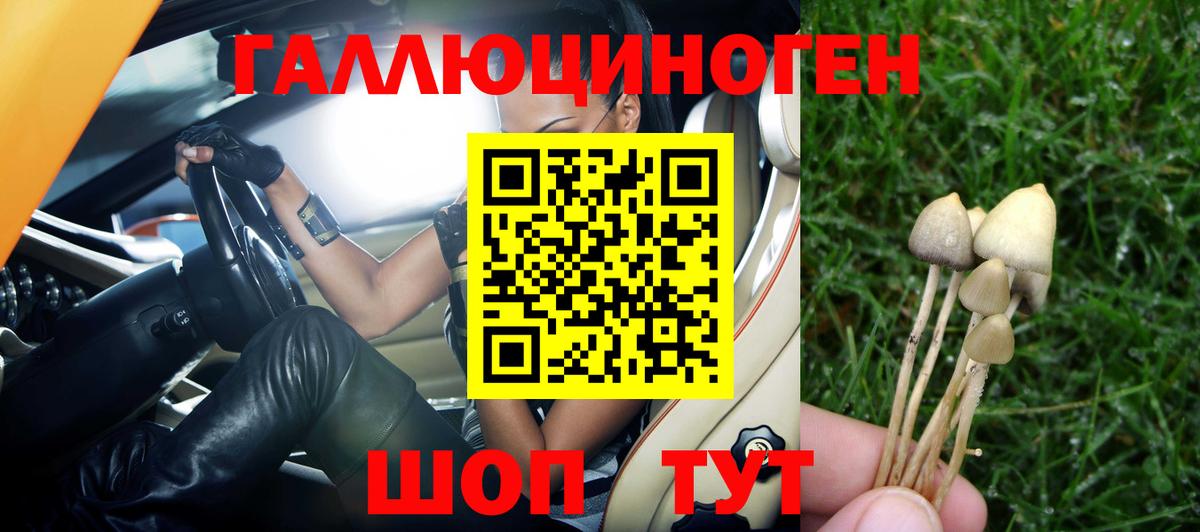Свободный  Галлюциногенные грибы ЛСД  Вход с VPN 